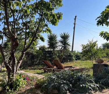 Vuno Apartment | Color Villa - South Paradise 7