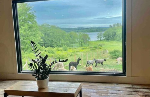 Union House | Come Spring Farm Airstream , Lake & farm animals