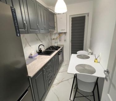 Ciurea Apartment | Comfort Apartament