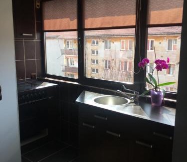 Petrosani Apartment | Comfort Home Apartment 2