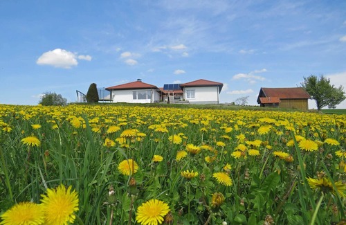 Esternberg House | Comfort House Bungalow on land, 12 persons 5 bedrooms