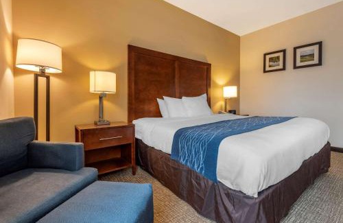 Apalachin Hotel | Comfort Inn Apalachin - Binghamton W Route 17
