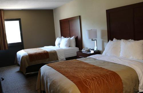 Binghamton Hotel | Comfort Inn Binghamton I-81