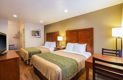 Bishop Hotel | Comfort Inn Bishop
