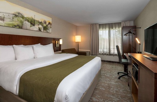 Hamilton Hotel | Comfort Inn Hamilton