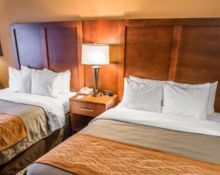 Hummelstown Hotel | Comfort Inn Hummelstown near the Park - Hershey