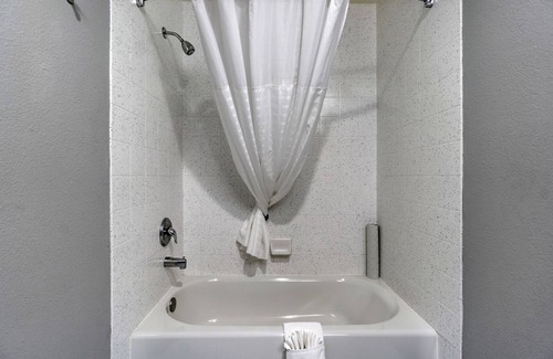 Kent Hotel | Comfort Inn Kent - Seattle