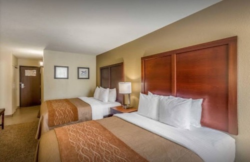 Executive Park Hotel | Comfort Inn NBA AllStar Hotel near light Rail to downtown
