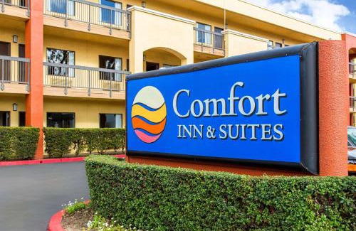 The East Side Hotel | Comfort Inn & Suites San Francisco Airport North