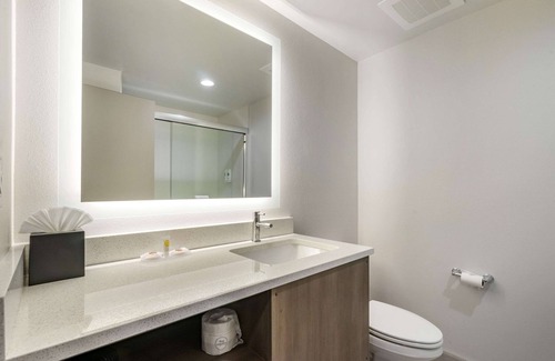 New Port Richey Hotel | Comfort Inn & Suites New Port Richey Downtown District