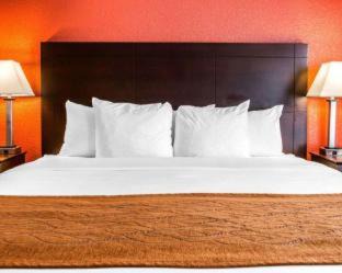 Mount Pleasant Hotel | Comfort Inn & Suites and Conference Center