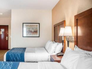 Hamburg Hotel | Comfort Inn & Suites Hamburg - Buffalo South