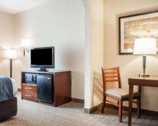 Hamburg Hotel | Comfort Inn & Suites Hamburg - Buffalo South