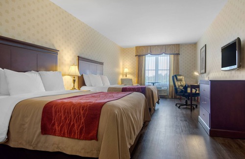 Saint-Nicolas Hotel | Comfort Inn & Suites Levis/Rive Sud Quebec city