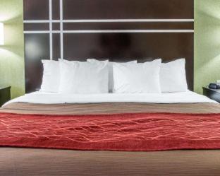 Maumee Hotel | Comfort Inn & Suites Maumee - Toledo I80-90