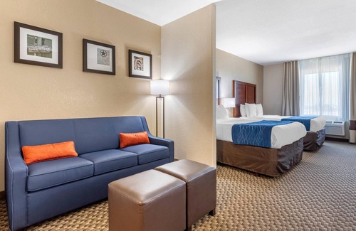 Navasota Hotel | Comfort Inn & Suites Navasota
