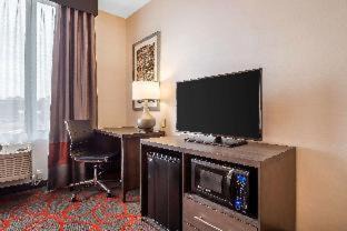 Mott Haven Hotel | Comfort Inn & Suites near Stadium