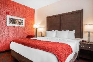 Mott Haven Hotel | Comfort Inn & Suites near Stadium