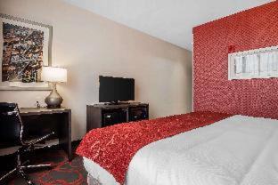 Mott Haven Hotel | Comfort Inn & Suites near Stadium