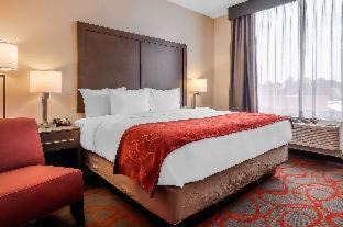 Mott Haven Hotel | Comfort Inn & Suites near Stadium