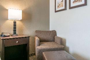 Porter Hotel | Comfort Inn & Suites Porter near Indiana Dunes