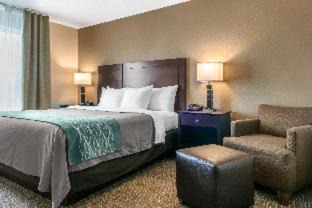 Porter Hotel | Comfort Inn & Suites Porter near Indiana Dunes