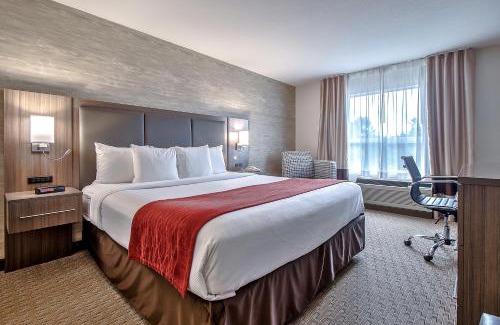 Southwest Calgary Hotel | Comfort Inn & Suites South
