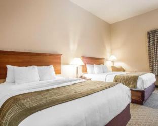 Florence Hotel | Comfort Inn & Suites Tuscumbia-Muscle Shoals