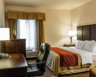 Fenton Hotel | Comfort Inn & Suites