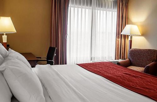 Watertown Hotel | Comfort Inn & Suites Watertown - 1000 Islands