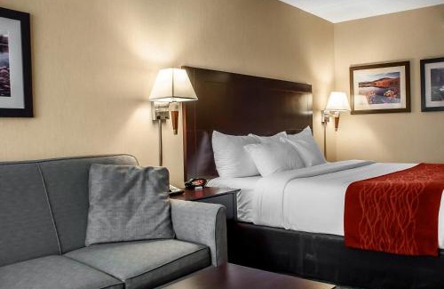 Watertown Hotel | Comfort Inn & Suites Watertown - 1000 Islands