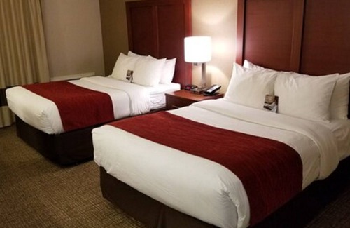 Black Creek Hotel | Comfort Inn Toronto North