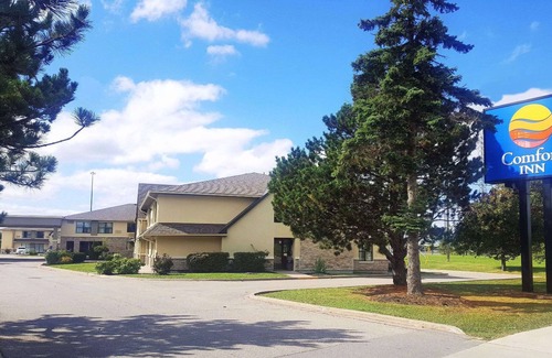Black Creek Hotel | Comfort Inn Toronto North