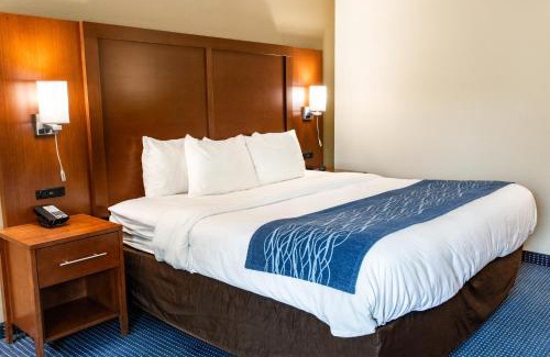 Jasper Hotel | Comfort Inn