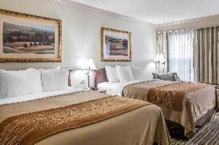 Plainwell Hotel | Comfort Inn