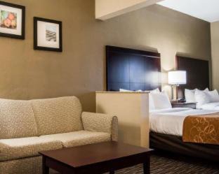Clearwater Hotel | Comfort Suites Clearwater - Dunedin