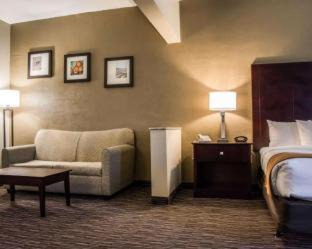 Clearwater Hotel | Comfort Suites Clearwater - Dunedin