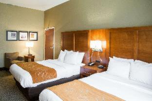 Grand Rapids Hotel | Comfort Suites Grand Rapids South