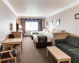 Barrett Hotel | Comfort Suites Kingwood Houston North Humble 59