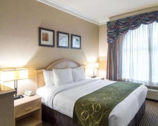Barrett Hotel | Comfort Suites Kingwood Houston North Humble 59