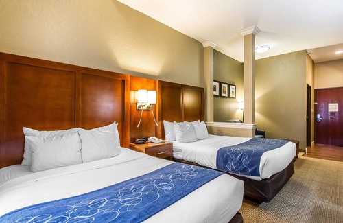 Mattoon Hotel | Comfort Suites Mattoon East