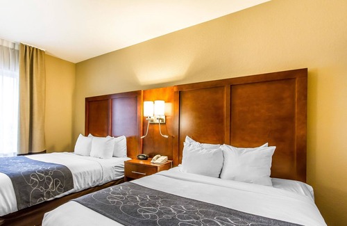 Mattoon Hotel | Comfort Suites Mattoon East