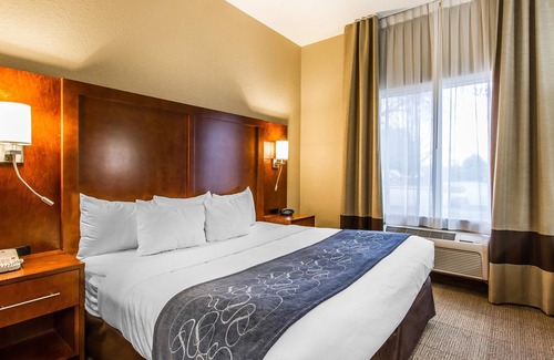 Mattoon Hotel | Comfort Suites Mattoon East