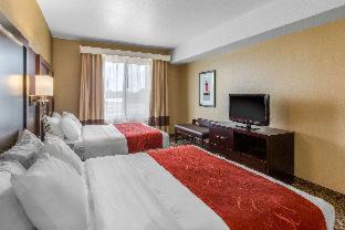 Seaford Hotel | Comfort Suites Seaford
