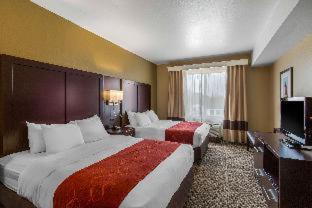 Seaford Hotel | Comfort Suites Seaford