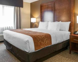 Terre Haute Hotel | Comfort Suites Terre Haute University Area