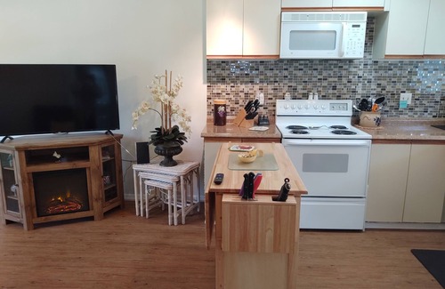 Port Charlotte House | COMFORTABLE FAMILY STYLE/LARGE PROPERTY/PET FRIENDLY VACATION HOME!