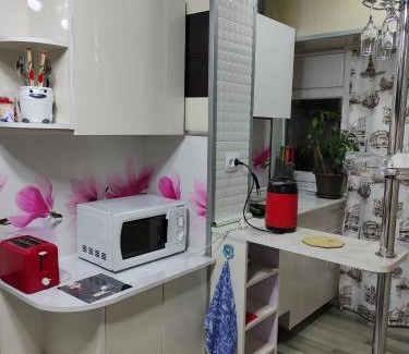 Karakol Apartment | comfortable luxury apartment