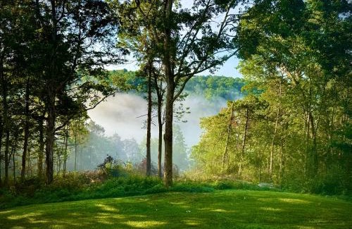 Keene Apartment | Comfortable one bedroom basement apartment in the woods