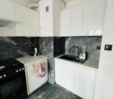 Swidnik Apartment | Comfortable one bedroom apartment
